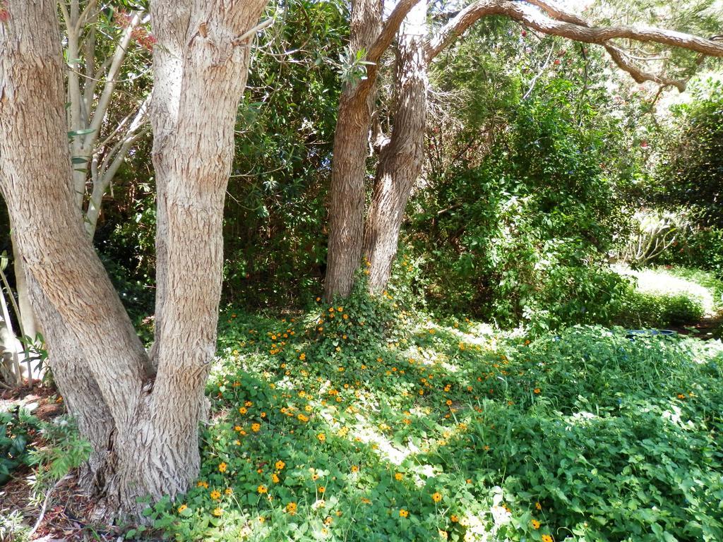 The Hideaway Luxury B&B Retreat Armadale Exterior foto
